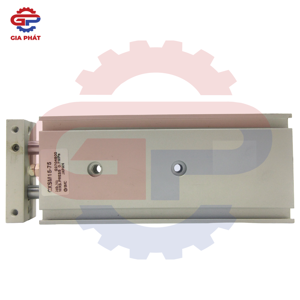 Xy lanh 2 ty STNC CXSM