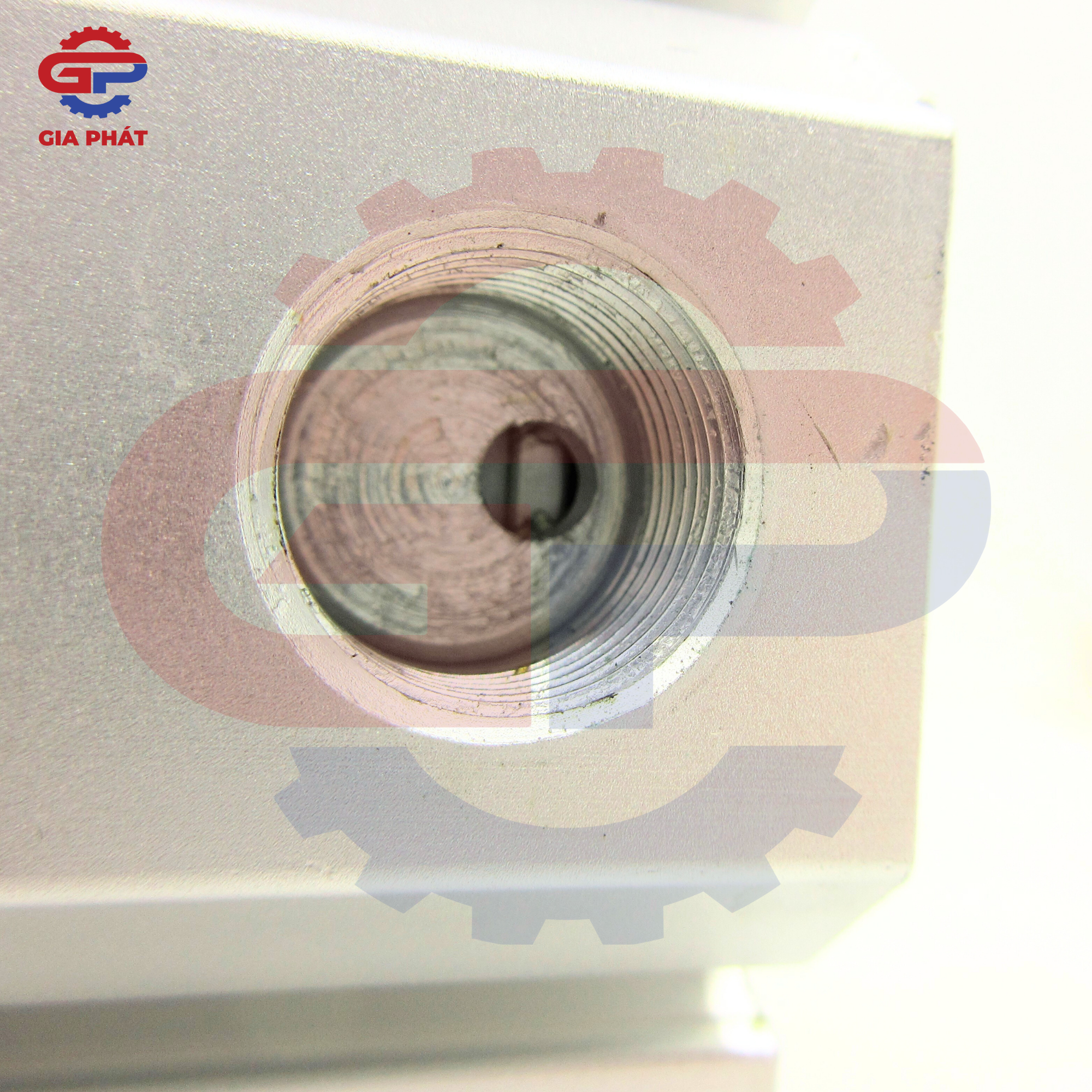 Xy lanh compact STNC TGN