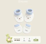  Set BTC UR 0825 
