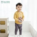  Bộ Dài Petit UR 2201 