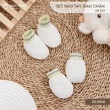  Set Bao Tay Bao Chân UR 029 