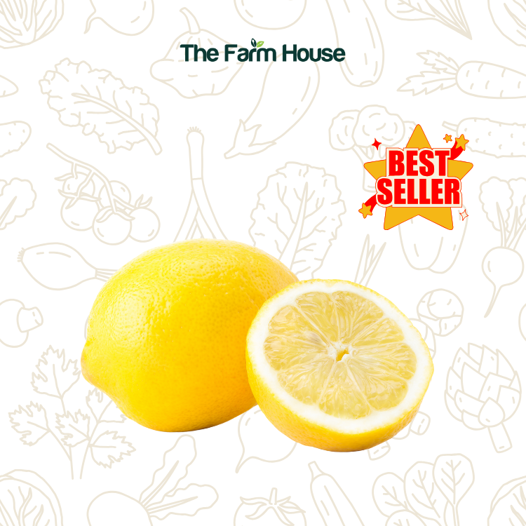  Chanh vàng nhập giống Ai Cập/Yellow lemon, Egypt 