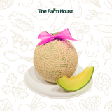  Dưa lưới FUJI Nhật/ FUJI Melon 