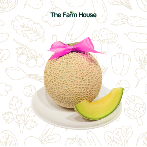  Dưa lưới FUJI Nhật/ FUJI Melon 