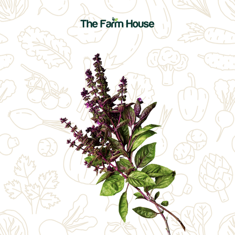  Hoa quế ta 20g/Vietnamese basil flower 20g 