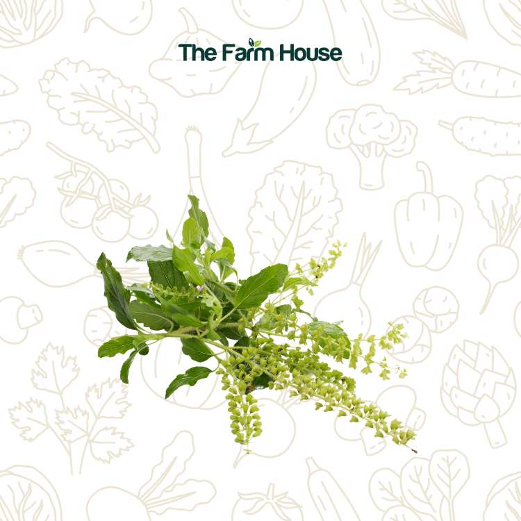  Hoa quế tây 20g/Basil flower 20g 