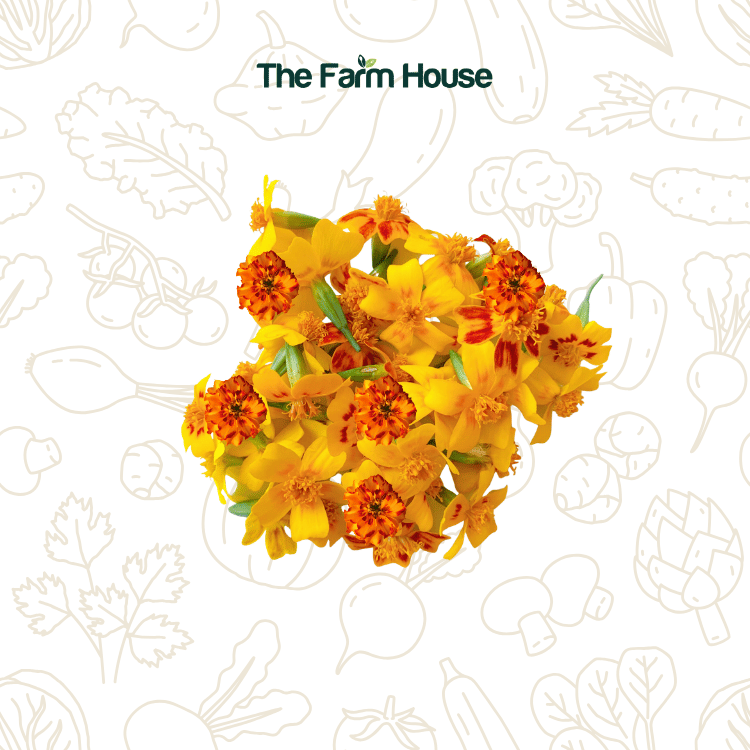  Hoa vạn thọ hỗn hợp 20g/Mixed marigold flowers 20g 