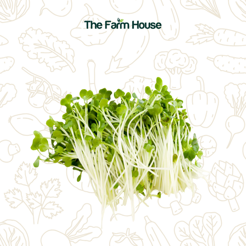  Mầm bông cải trắng 100g/Daikon radish sprouts 100g 