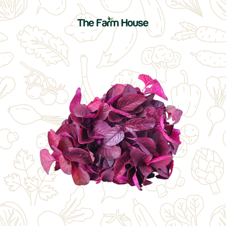  Mầm dền đỏ 50g/Baby red garnet amaranth leaves 50g 