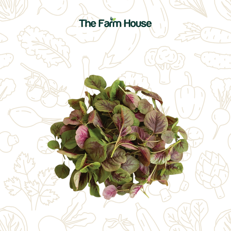  Mầm dền sao 50g/Baby red callaloo amaranth leaves 50g (Pack) 