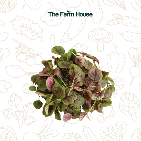  Mầm dền sao 50g/Baby red callaloo amaranth leaves 50g (Pack) 