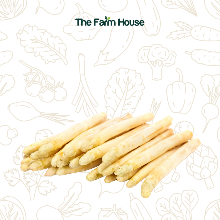  Măng tây trắng, size XL 300g/White asparagus, size XL 300g 