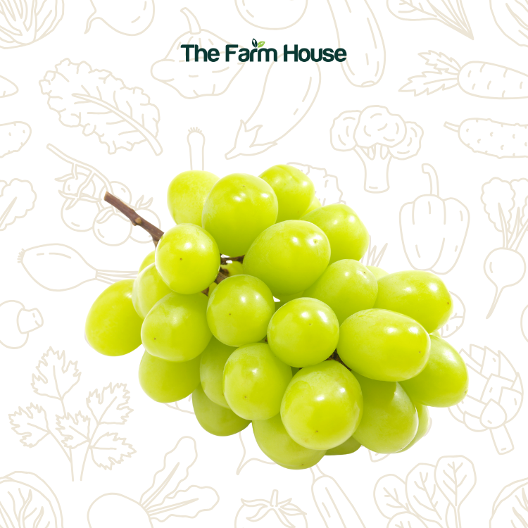  Nho mẫu đơn Hàn Quốc /Korean Shine Muscat Grapes 