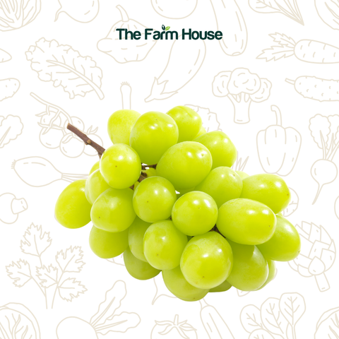  Nho mẫu đơn Hàn Quốc /Korean Shine Muscat Grapes 