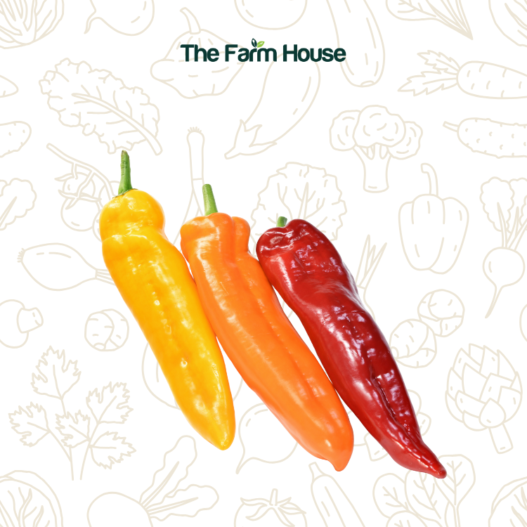  Ớt ngọt trái cây Palermo 300g/ Sweet Palermo Peppers 300g 