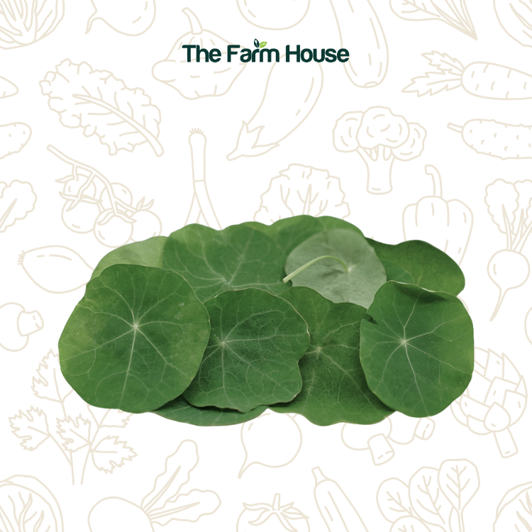  Lá sen cạn (size nhỏ, <4cm) 20g/Nasturtiums leaves (small size, <4cm) 20g 