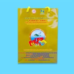 Tinh chất Yến sào Khánh Hòa - Hộp 5 gói 5 gram - 027
