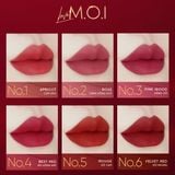  Son Thỏi Love M.O.I Holiday Phiên Bản Mùa Lễ Hội 2.7g 