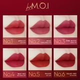  Bộ 6 Son Thỏi Love M.O.I Holiday Phiên Bản Mùa Lễ Hội 