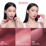  Bộ Đôi Má Hồng Sữa Và Son Tint Lì Soft Power 