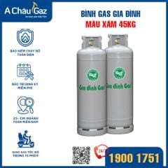 Bình gas Gia đình xám 45kg