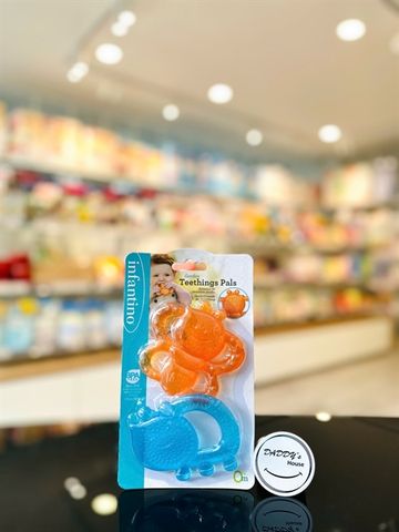 Gặm nướu Garden Teethings Pals Infantino (0th)