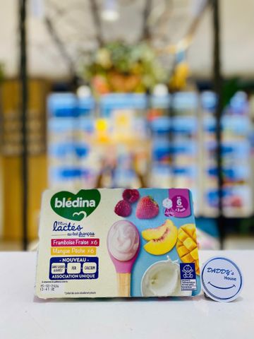 Sữa chua Bledina mini lactes - Dâu/Xoài/Đào - 6th (12x55g)