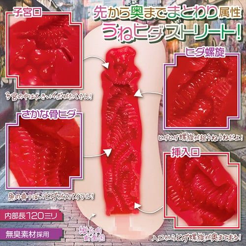 Magiceyes Aoharu Enchant Case.02❤️ 