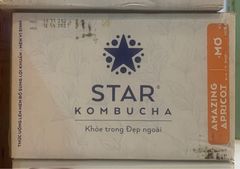 TE- Apricod Kombucha Star 250ml
