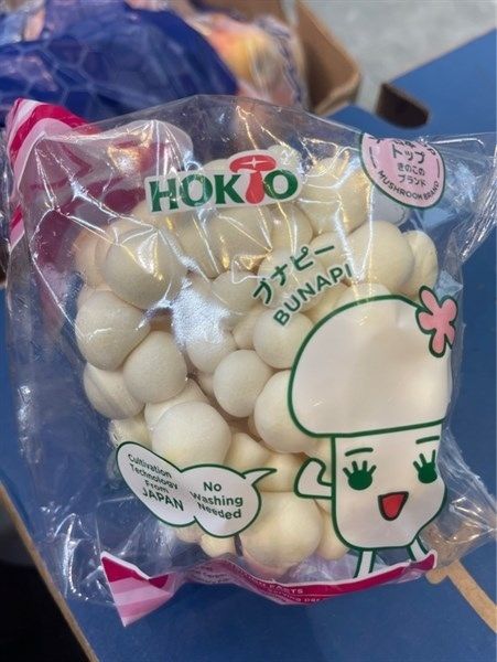 VE.M- White Reishi Mushroom 125g (Nấm linh chi trắng)