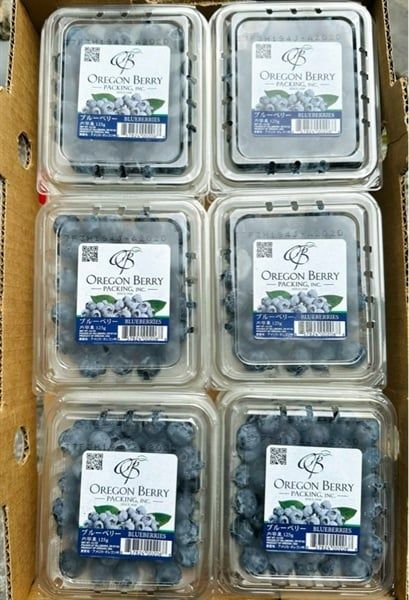 FR.I- Fresh New Zealand Blueberries (Việt quất NZL)