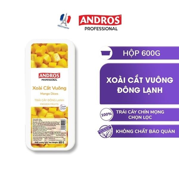 VEF- Frozen Mango Slices Andros 600g