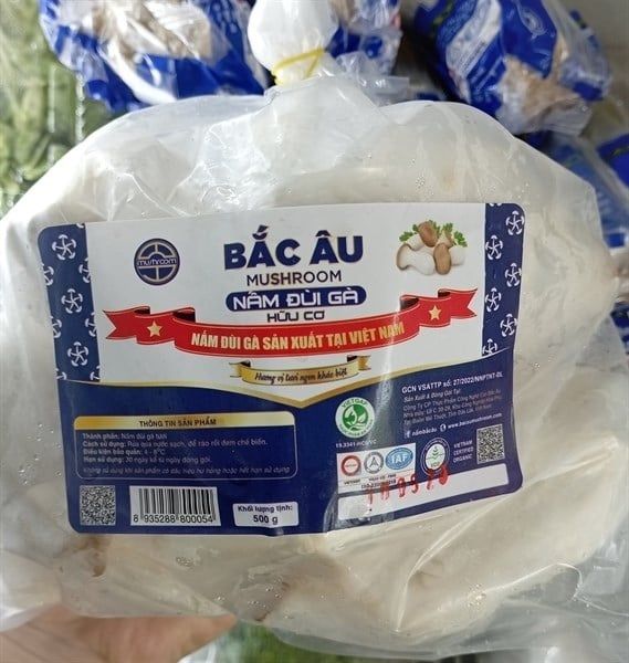 VE.M- Fresh King Oyster Mushroom Bắc Âu 250gr (Nấm đùi gà baby)