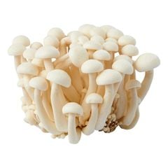 VE.M- Brown Reishi Mushroom 125g (Nấm linh chi nâu)