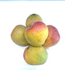 FR.L-Trái cây. Fresh Mango AUS (Xoài Úc) -ĐN