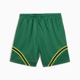  Quần Đùi Bóng Rổ Nam PUMA Hoops X Tmnt Short 63093101 