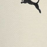  Quần Đùi Thể Thao Nam PUMA Floral Sport Shorts 7” 68955968 