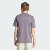  Áo Phông - Áo thun Thể Thao Nam ADIDAS M Ce Tee Gd JF3331 