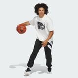  Áo Phông - Áo thun Golf Nam ADIDAS Anted Gfx Tee 2 JM2679 