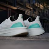  Giày Chạy Nam ADIDAS Ultraboost 5X JQ9079 