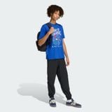  Áo Phông - Áo thun Thể Thao Nam ADIDAS M Ftb Wc Ball T KB2534 