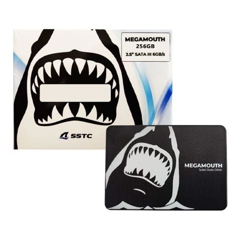 Ổ cứng SSD 256G SSTC MEGAMOUTH (MS-M100-256Q) Sata III