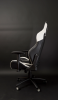 Ghế CENTAUR GAMING TACTICAL CRA