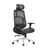 Ghế HyperWork Airy OC02