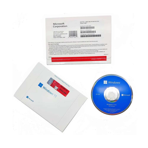 Phần mềm windows 11 pro 64Bit Eng Inti 1pk DSP OEI DVD