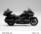 HONDA GOLD WING, GOLD WING DCT