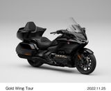 HONDA GOLD WING, GOLD WING DCT