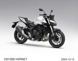 HONDA CB1000R, CB1000 HORNET