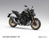 HONDA CB1000R, CB1000 HORNET