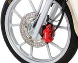 CUB 110 Heo thắng 2 piston NISSIN x KITACO